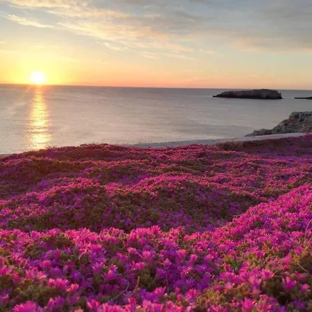 Prázdninový dům Manfredi *