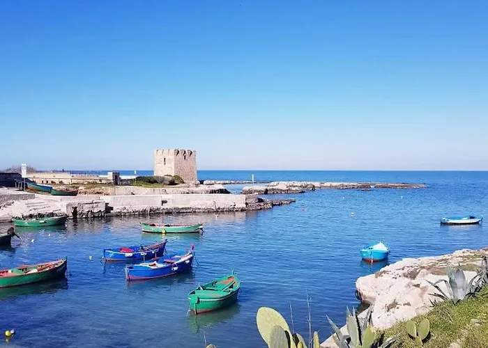 Manfredi * 폴리나노 아마레